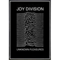 Joy Division Show Poster Print